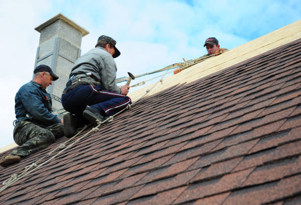 Roof Gutter Cleaning in Greenfield, IL