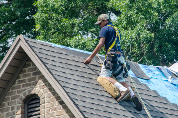 Best Roof Waterproofing Services  in Greenfield, IL